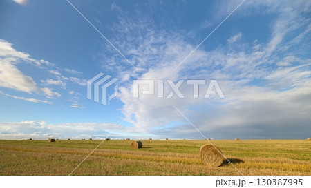 A Breathtaking Scenic WideAngle View of a Beautiful Meadow Beneath a Clear Blue Sky A Breathtaking Scenic WideAngle View of a Beautiful Meadow Beneath a Clear Blue Sky 130387995