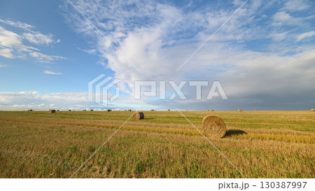 A Vast Open Field Spreading Out Beautifully Under A Bright Blue Sky Adorned By Fluffy Clouds A Vast Open Field Spreading Out Beautifully Under A Bright Blue Sky Adorned By Fluffy Clouds 130387997