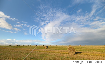 A breathtaking view of vast fields under a clear blue sky with fluffy white clouds A breathtaking view of vast fields under a clear blue sky with fluffy white clouds 130388001