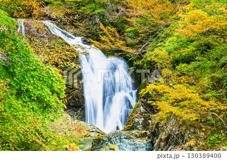 山形 紅葉の関山大滝 130389400