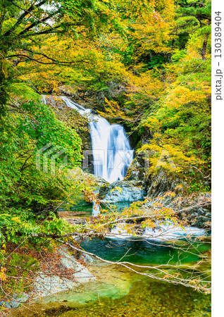 山形 紅葉の関山大滝 130389404