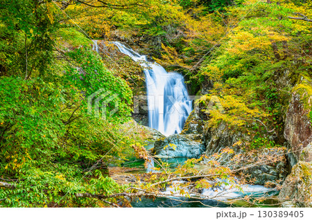 山形 紅葉の関山大滝 130389405