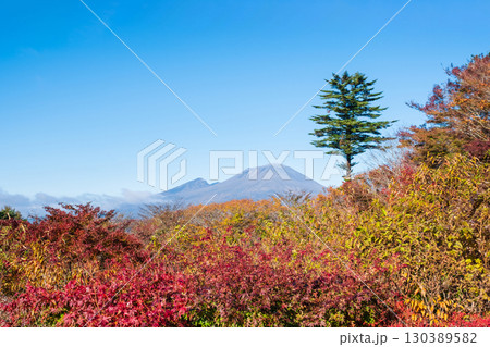 旧碓氷峠見晴台（秋）：浅間山を望む 130389582