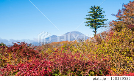 旧碓氷峠見晴台(秋):浅間山を望む 旧碓氷峠見晴台(秋):浅間山を望む 130389583