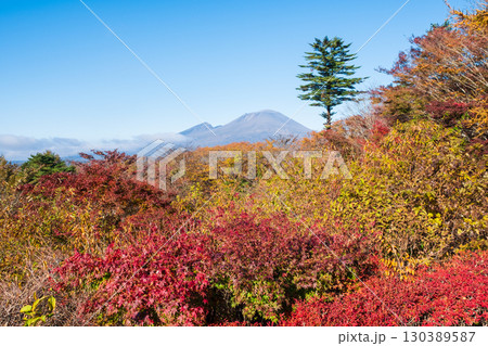 旧碓氷峠見晴台（秋）：浅間山を望む 130389587