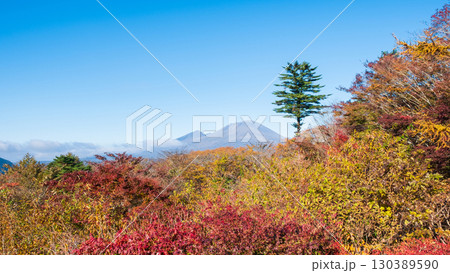 旧碓氷峠見晴台（秋）：浅間山を望む 130389590