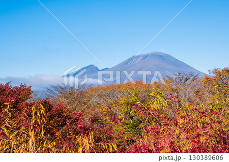 旧碓氷峠見晴台（秋）：浅間山を望む 130389606