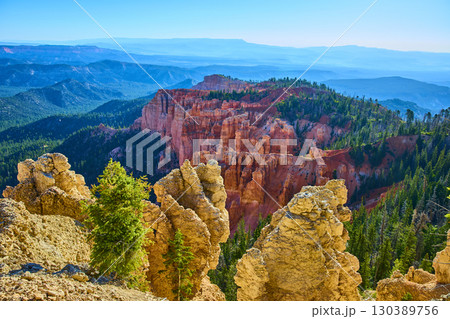 Bryce Canyon Hoodoos Pine Forest and Mountain Vista from Rainbow Point 130389756