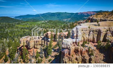 Aerial Rugged Rock Formations Pine Forest and Mountain Landscape Utah Aerial Rugged Rock Formations Pine Forest and Mountain Landscape Utah 130389835