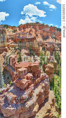 Aerial Red Rock Formations and Forest Panorama in Dixie National Forest Utah 130389855