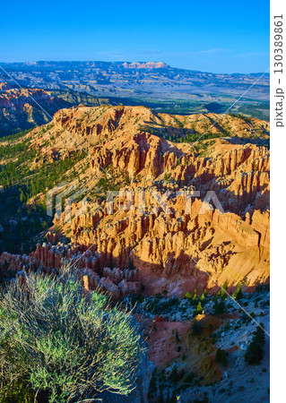 Bryce Canyon Hoodoos Dramatic Sunrise Light and Desert Vegetation Utah Bryce Canyon Hoodoos Dramatic Sunrise Light and Desert Vegetation Utah 130389861