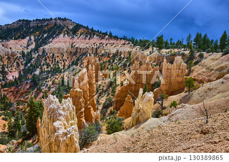 Bryce Canyon Hoodoos and Pine Trees at Fairyland Point Under Dramatic Sky Bryce Canyon Hoodoos and Pine Trees at Fairyland Point Under Dramatic Sky 130389865