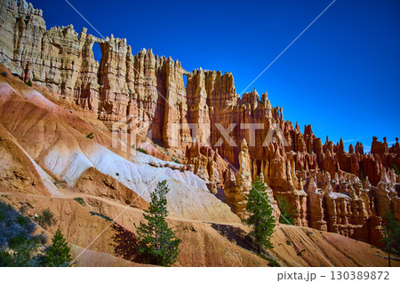 Bryce Canyon Hoodoo Formations and Wall of Windows with Pine Trees Under Blue Sky 130389872