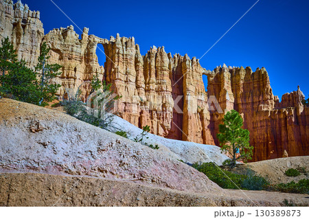 Bryce Canyon Hoodoo Rock Formations Wall of Windows Pine Trees Utah 130389873