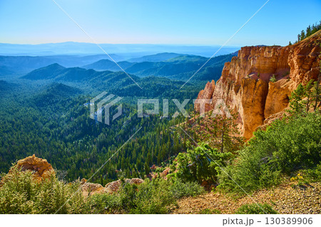 Bryce Canyon Hoodoos and Pine Forest Scenic Overlook in Bright Summer Light 130389906