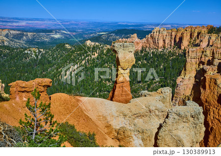 Bryce Canyon Hoodoo Formations and Forest Vista at Agua Canyon Overlook 130389913