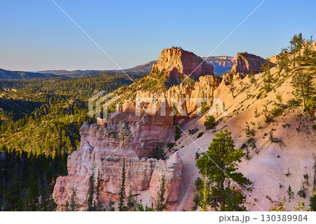 Bryce Canyon National Park Hoodoos Pine Forest and Sandstone Cliffs at Sunset Bryce Canyon National Park Hoodoos Pine Forest and Sandstone Cliffs at Sunset 130389984