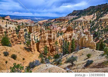 Bryce Canyon Hoodoo Rock Formations and Pine Trees at Fairyland Point Utah 130390003