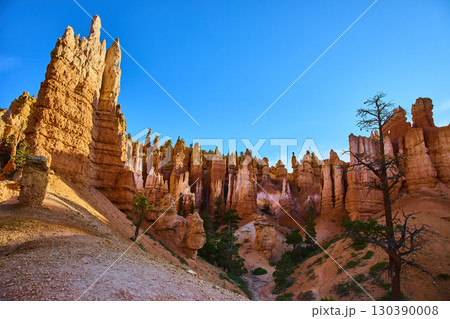 Hoodoo Rock Formations Bryce Canyon National Park Utah Trail and Blue Sky 130390008