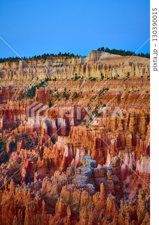 Bryce Canyon Hoodoos Colorful Cliffs and Blue Sky at Sunset Golden Hour 130390015