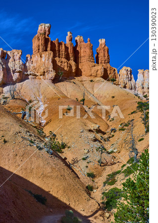 Hoodoo Rock Formations and Scrub Vegetation in Sunlight Bryce Canyon Utah 130390023
