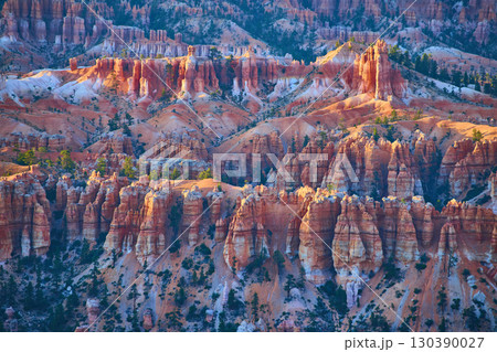 Bryce Canyon Hoodoos and Rock Formations at Sunrise with Pine Trees Utah Bryce Canyon Hoodoos and Rock Formations at Sunrise with Pine Trees Utah 130390027