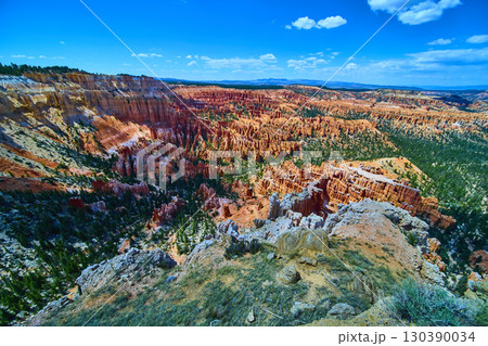 Bryce Canyon National Park Hoodoo Formations and Pine Trees from Bryce Point 130390034