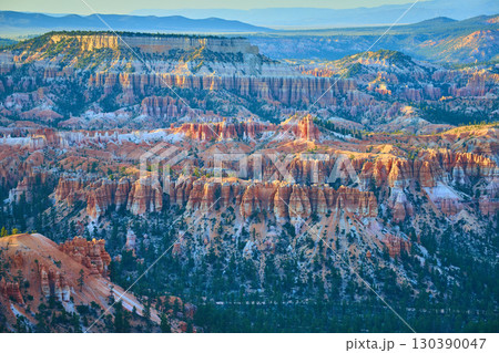 Bryce Canyon National Park Hoodoos and Pine Trees at Sunrise from Bryce Point Bryce Canyon National Park Hoodoos and Pine Trees at Sunrise from Bryce Point 130390047