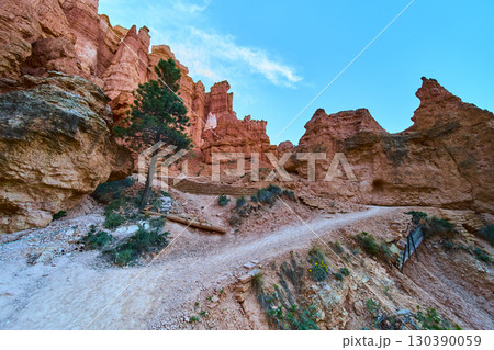 Bryce Canyon Hoodoos and Hiking Trail with Pine Tree Under Vibrant Blue Sky 130390059