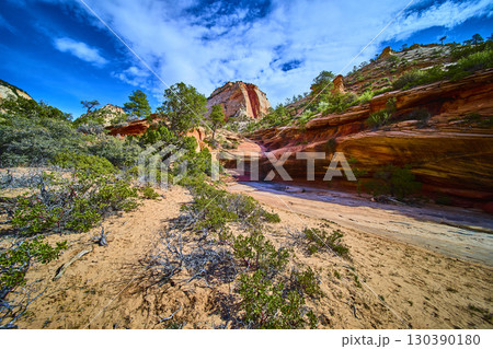 Red Sandstone Cliffs and Desert Vegetation Along Sandy Canyon Floor Ground Level Red Sandstone Cliffs and Desert Vegetation Along Sandy Canyon Floor Ground Level 130390180