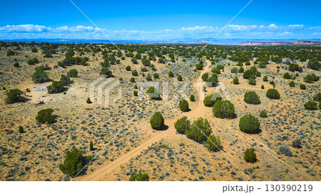 Aerial Fly Through Desert Road and Juniper Shrubs Toward Vermilion Cliffs 130390219