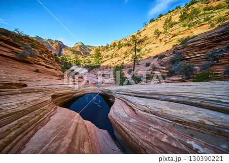 Sandstone Pool Reflection and Desert Vegetation Zion National Park Low 130390221