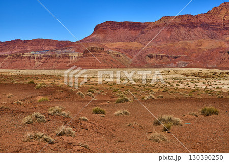 Red Rock Mesas and Desert Grass in Arizona Wilderness Eye Level View 130390250