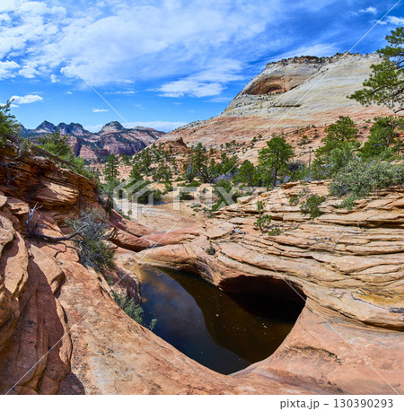 Sandstone Layers and Desert Pool with Pines Zion National Park Elevated Eye Level 130390293