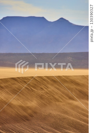 Sweeping Sand Dunes and Distant Mountains with Wind Ripples Low Angle Perspective 130390327