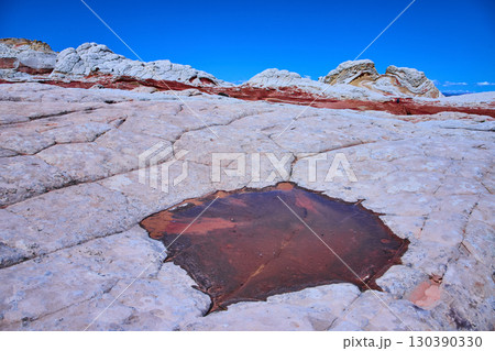 White Pocket Cracked Sandstone and Reflective Pool Arizona Desert Landscape 130390330