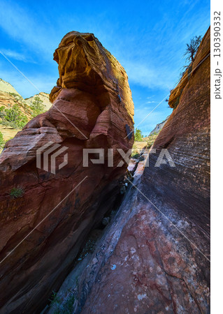 Red Rock Monolith Canyon Walls Desert Vegetation Ground Level Perspective 130390332