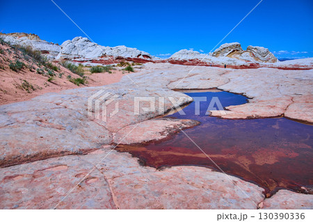 White Pocket Sandstone Formations with Reflective Pool and Desert Colors Arizona White Pocket Sandstone Formations with Reflective Pool and Desert Colors Arizona 130390336