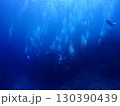 沖縄・石垣島海底をダイブする 130390439