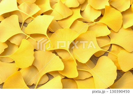 秋の自然テクスチャ背景素材コレクション 紅葉・落ち葉・栗・秋草などの画像 秋の自然テクスチャ背景素材コレクション 紅葉・落ち葉・栗・秋草などの画像 130390450