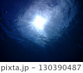 石垣島海底から水面を臨む 130390487