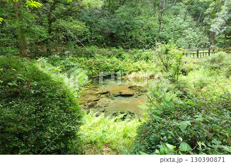 【岡山県】塩釜の冷泉 【岡山県】塩釜の冷泉 130390871
