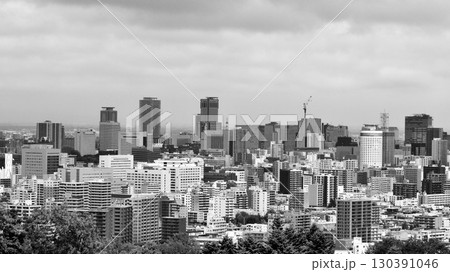 旭山記念公園から見た「札幌JRタワー」方面　白黒 130391046