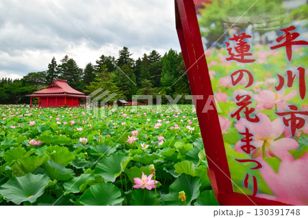 夏の猿賀公園 夏の猿賀公園 130391748