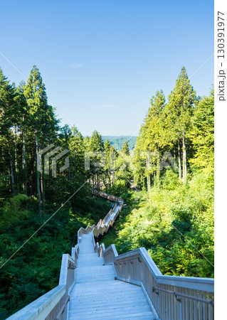 山代温泉の観光地 萬松園「あいうえおの杜」イメージ｜雲海を人工的に再現｜石川県加賀市 130391977