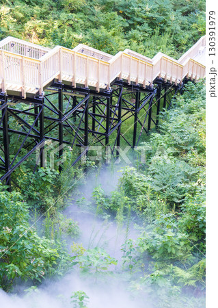 山代温泉の観光地 萬松園「あいうえおの杜」イメージ｜雲海を人工的に再現｜石川県加賀市 130391979