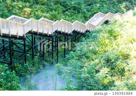 山代温泉の観光地 萬松園「あいうえおの杜」イメージ｜雲海を人工的に再現｜石川県加賀市 130391984