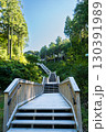 山代温泉の観光地 萬松園「あいうえおの杜」イメージ｜雲海を人工的に再現｜石川県加賀市 130391989