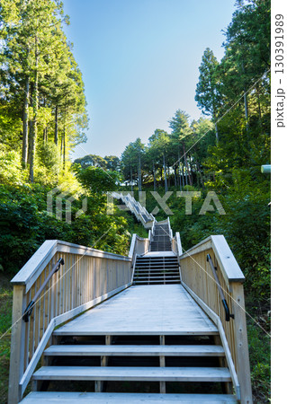 山代温泉の観光地 萬松園「あいうえおの杜」イメージ｜雲海を人工的に再現｜石川県加賀市 130391989