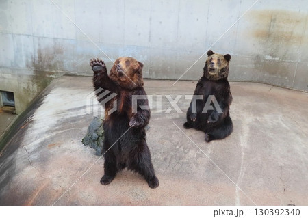 【熊本県】阿蘇カドリー・ドミニオン 130392340